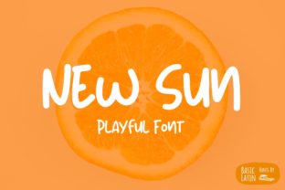 New Sun Sans Serif Font for Web Design